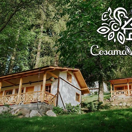Cosama Village Sighişoara Esterno foto