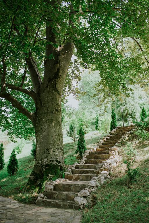 Cosama Village Sighişoara Esterno foto