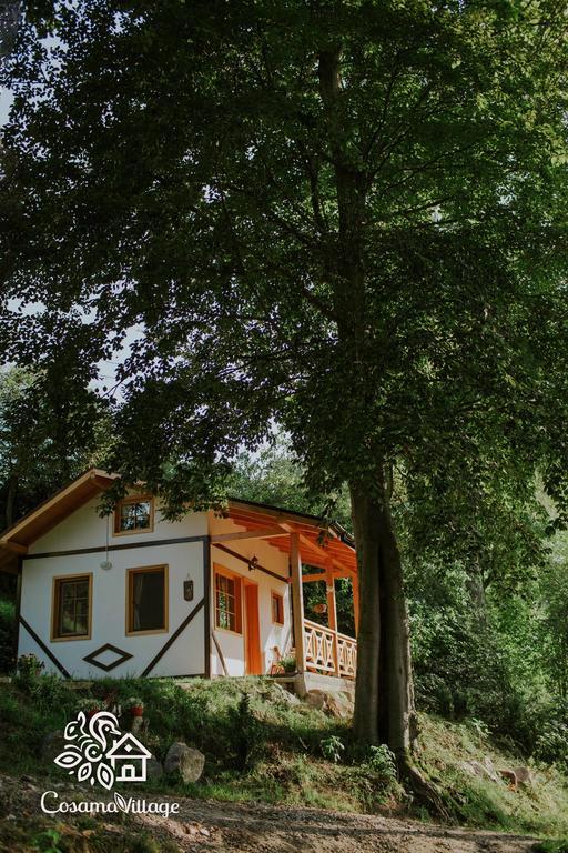 Cosama Village Sighişoara Esterno foto